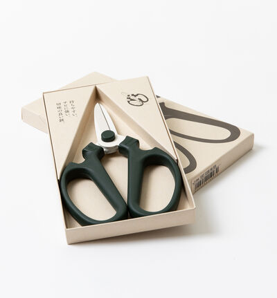 Japansk blomstersaks  Japansk blomstersaks